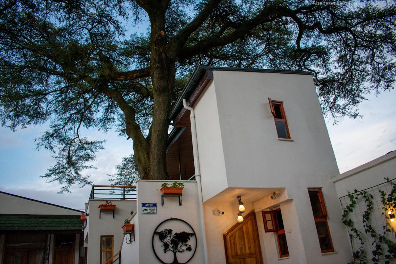 Choice Guest House 2 Addis Ababa Ngoại thất bức ảnh